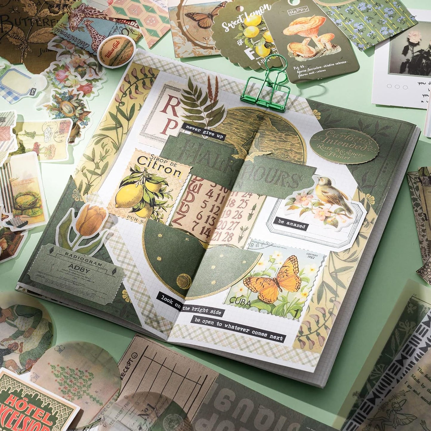 Aesthetic Scrapbook Kit, Junk Journal Scrapbooking Supplies, Vintage Journaling